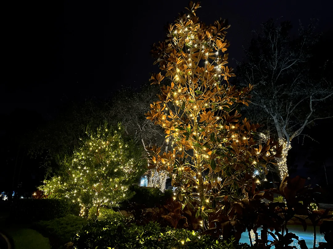 Garden trees wrapped in warm white lights beside a pool and landscaped beds at night